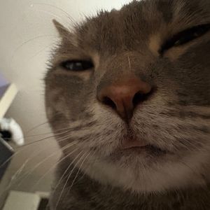 Meet your Posher, Isabel